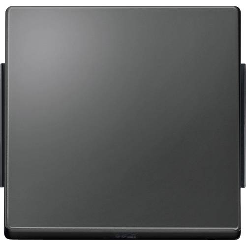 Thumbnail - Merten Abdeckung Wechselschalter Aquadesign Anthrazit 343114 1 St.