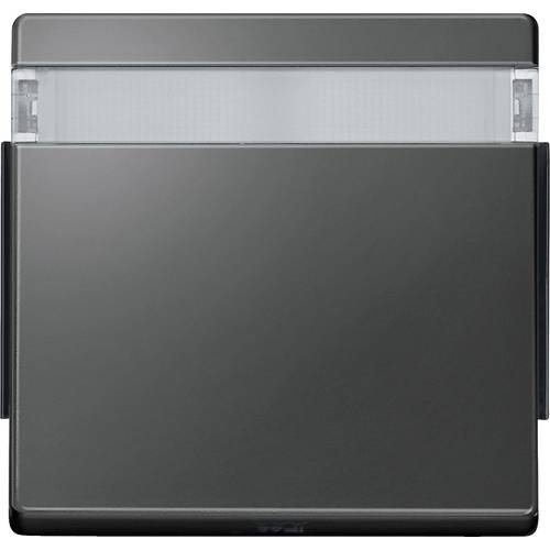 Merten Abdeckung Wechselschalter Aquadesign Anthrazit 343914 1 St.