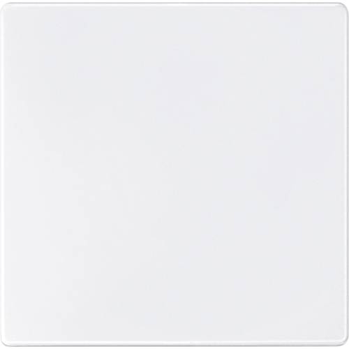 Merten 573819 Dimmer-Abdeckung Polarweiß