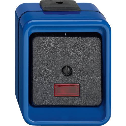 Merten 1fach Komplett Wipp-Kontrollschalter Blau 372375 1 St.