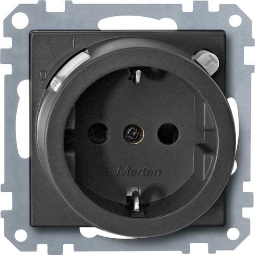 Merten Einsatz System M Anthrazit 232814 1 St.