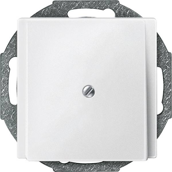 Merten   Abdeckung System M Polarweiß 295619 1 St.