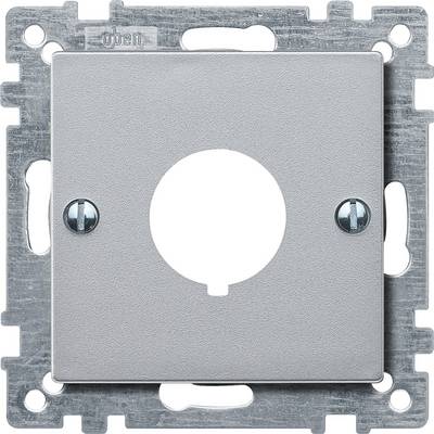 Silberne quadratische Abdeckplatte mit mittigem Loch und zwei Schrauben an den Seiten, montiert auf einem Befestigungsrahmen.