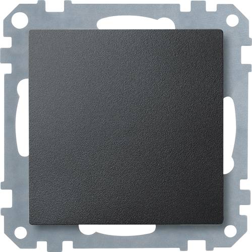 Thumbnail - Merten Blindabdeckung System M Anthrazit 391814 1 St.