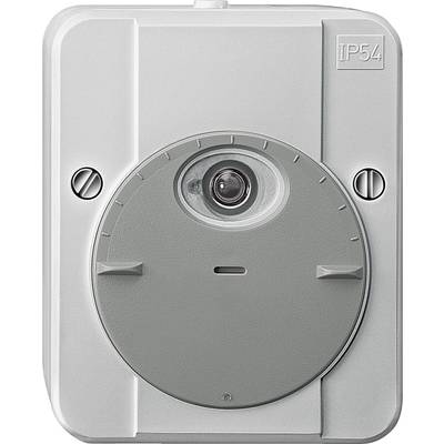 Merten 544890 Dämmerungsschalter 1 St. 230 V/AC 1 Schließer