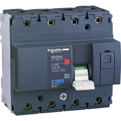 Ein elektrischer Leistungsschalter von Schneider Electric, Modell NG125NA, geeignet für 125 A, mit spezifischen Spannungs- und Stromdaten auf dem Etikett.