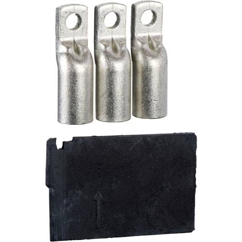 Schneider Electric 28951 28951 Schutzschalterzubehör 160 A 1 St.