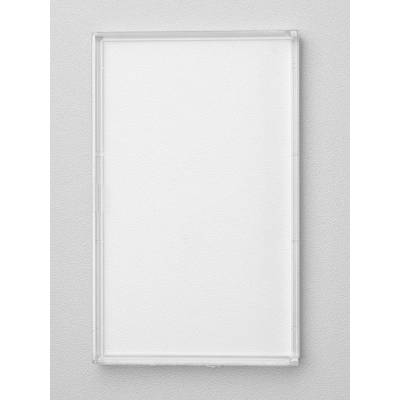 Ein leeres, rechteckiges, durchscheinendes Tablett auf grauem Hintergrund.