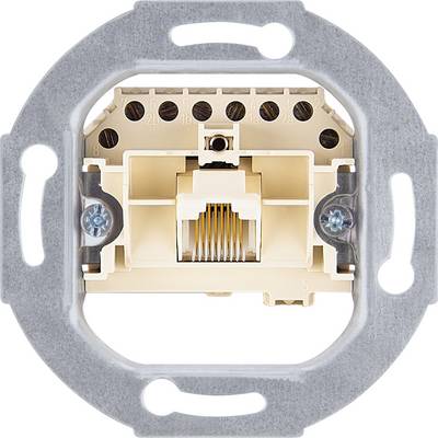 Ein RJ45-Netzwerkanschluss in einer Wandhalterung, umgeben von einem Metallrahmen. Verwendet für die LAN-Verkabelung in Gebäuden.