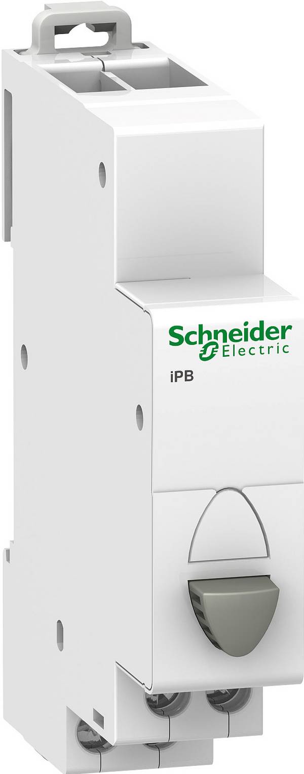 Taster 250 V Schneider Electric A9E18033