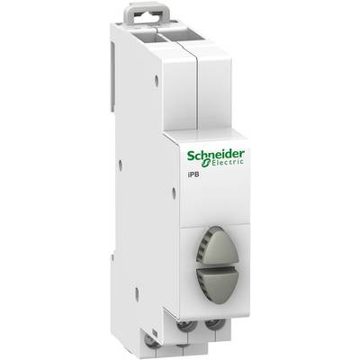 Ein weißer Schalter von Schneider Electric mit der Bezeichnung 'iPB', geeignet für Elektroinstallationen.