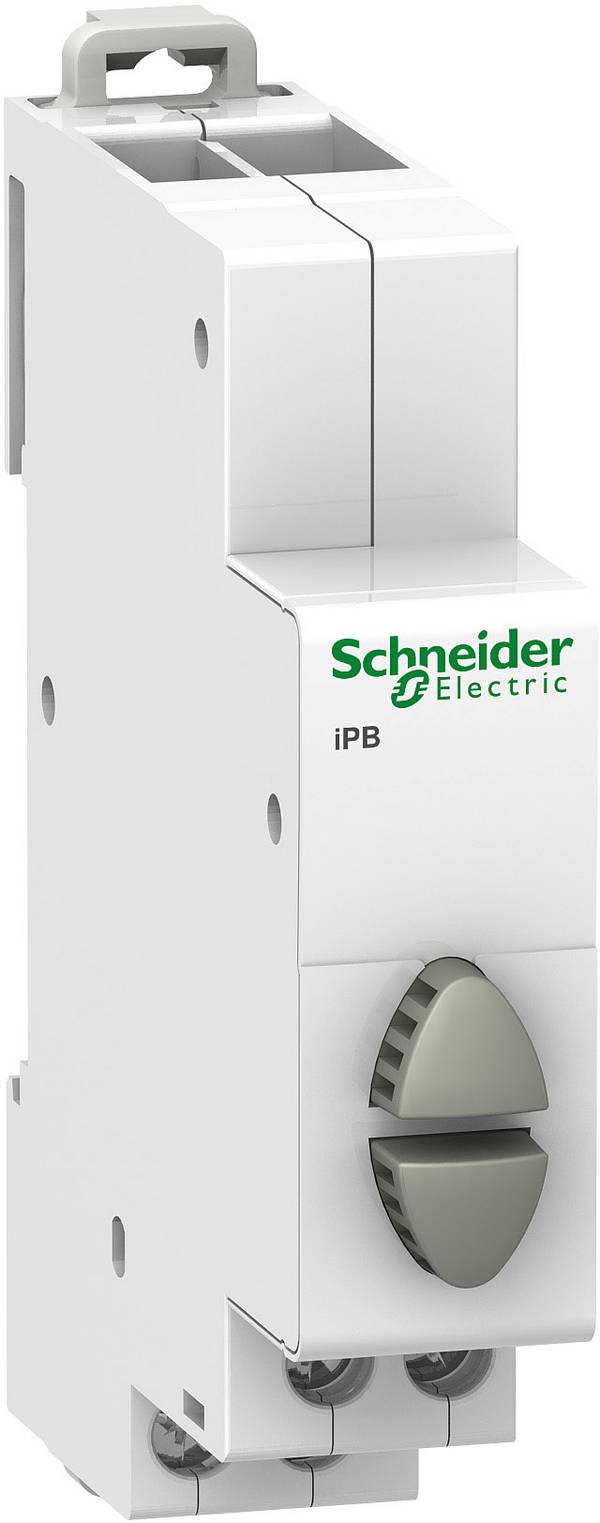 Taster 250 V Schneider Electric A9E18035