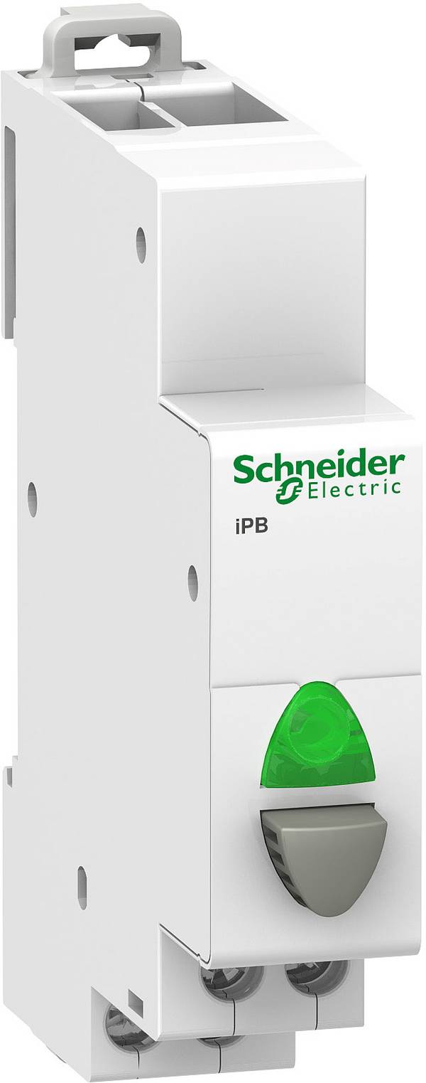 Taster 250 V Schneider Electric A9E18036