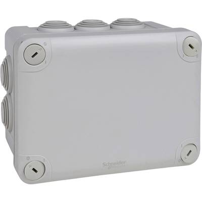 Grau-weiße Abzweigdose von Schneider Electric mit seitlichen Kabelöffnungen.