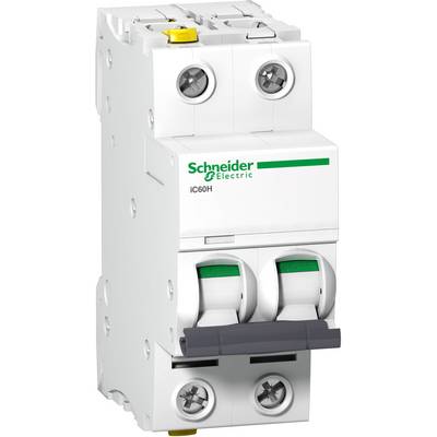 Ein weißer Leistungsschalter von Schneider Electric mit zwei Kippschaltern. Hauptsächlich zur Steuerung elektrischer Kreisläufe verwendet.