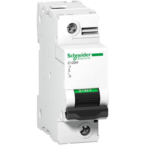 Schneider Electric A9N18404 A9N18404 Leitungsschutzschalter 125 A 144 V/DC
