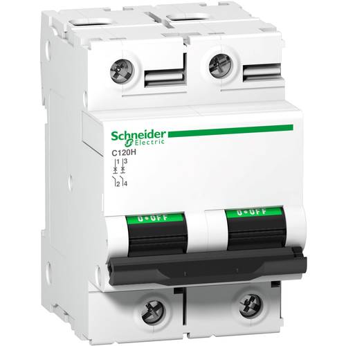 Schneider Electric A9N18458 A9N18458 Leitungsschutzschalter 100 A 250 V/DC