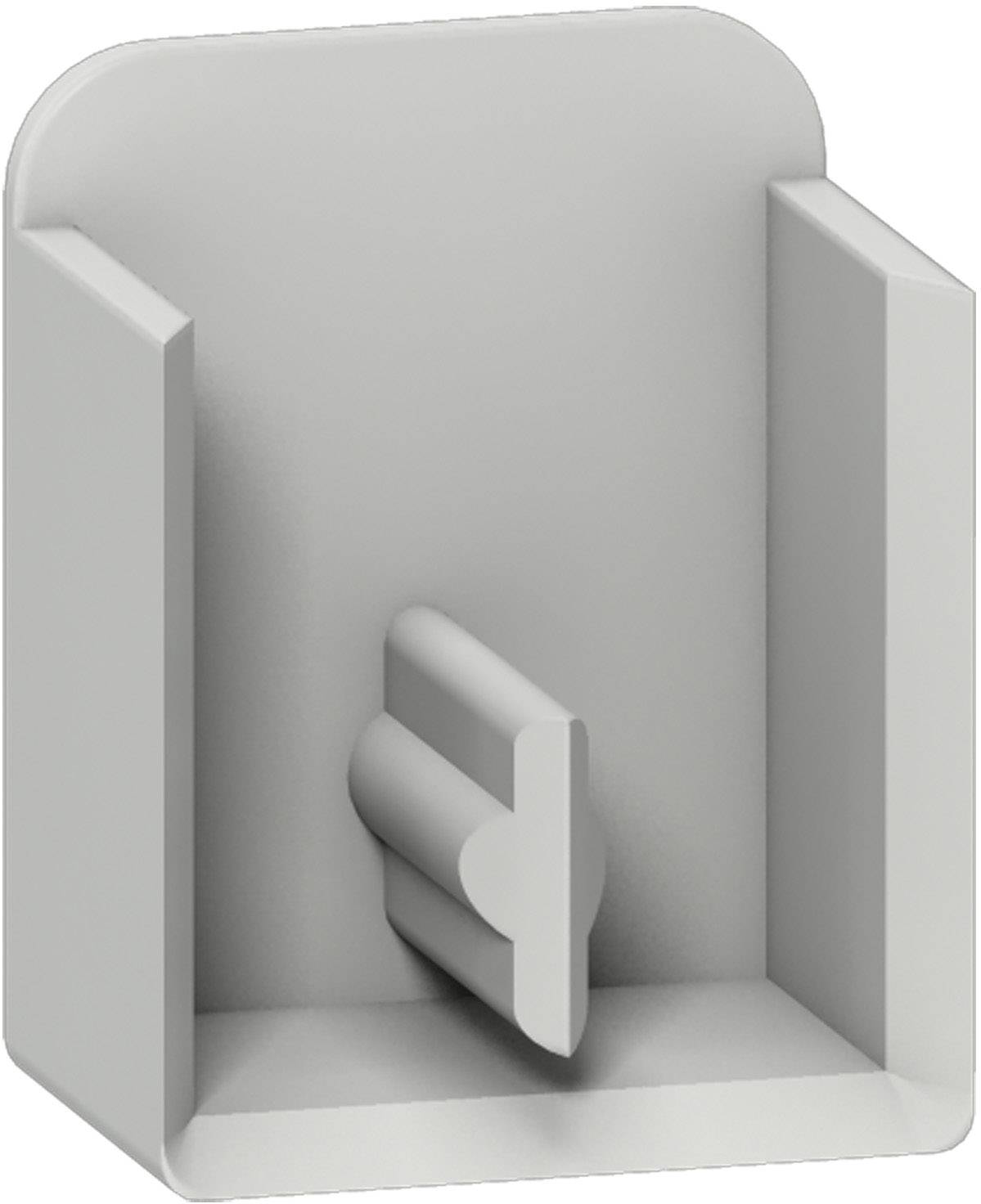 Schneider Electric R9XE210 R9XE210 Endkappe Grau 1 St.