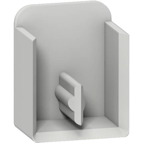 Schneider Electric R9XE210 R9XE210 Endkappe Grau 1 St.