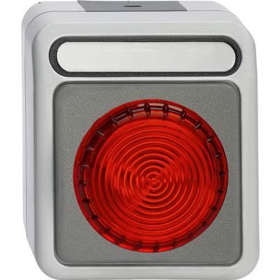 Ein silberner Taster mit großer roter Leuchte, typisch für Ampeln. Verwendet, um Fußgängersignale an einer Straße zu aktivieren.