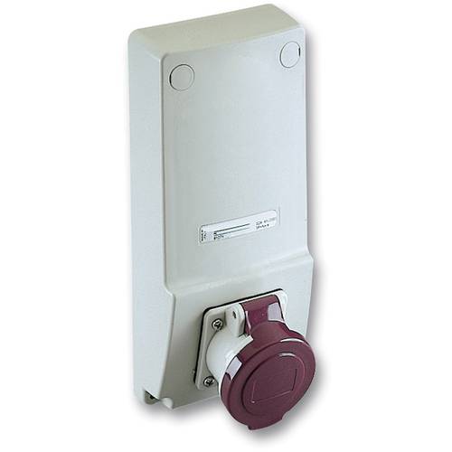 Schneider Electric 82026 82026 CEE Wandsteckdose 16 A 240 V 1 St.