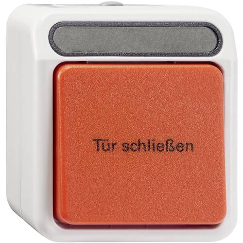 Merten Taster AQUASTAR Lichtgrau MEG3167-8029 1 St.