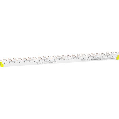 Schneider Electric A9XPH624 Phasenschiene Weiß 2polig 16 mm² 80 A 1 St.