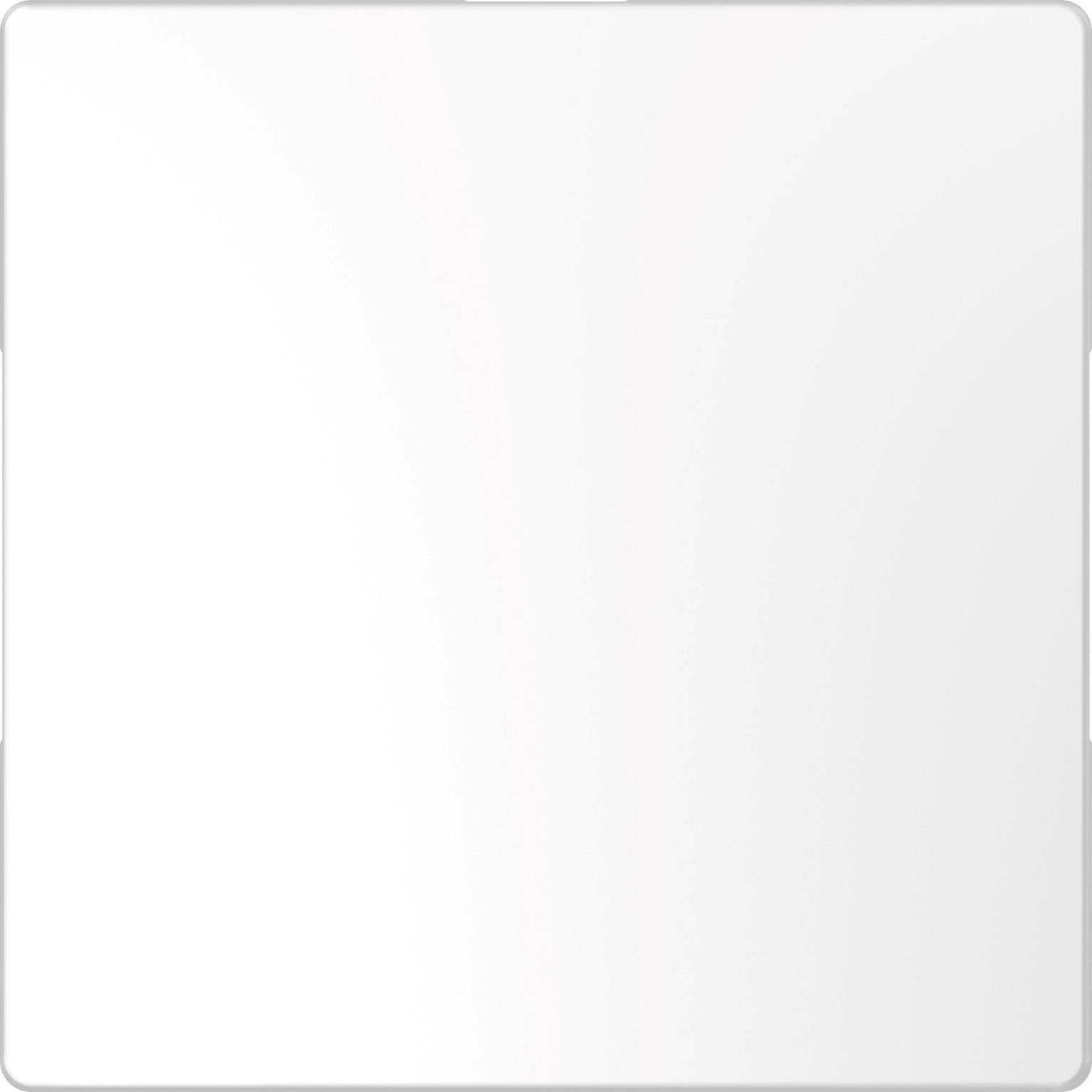 Merten Cache System Design blanc MEG4075-6035 1 pc(s)
