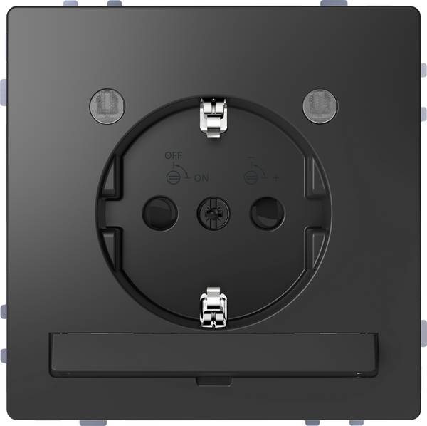 Merten Steckdose System Design Anthrazit MEG2304-6034 1 St.