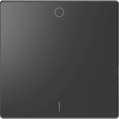 Merten Abdeckung Wechselschalter System Design Anthrazit MEG3301-6034 1 St.