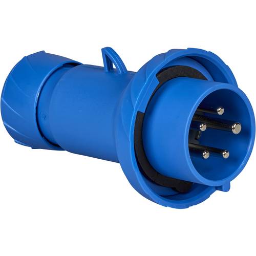 Schneider Electric PKX16M725 PKX16M725 CEE Stecker 16 A 250 V 1 St.