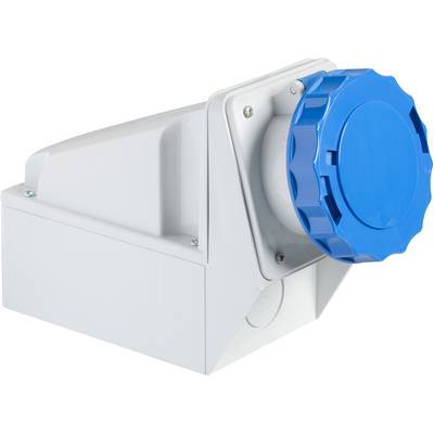 Weiße industrielle Steckdose mit blauem Drehverschluss, schräg von der Seite gezeigt. Entwickelt für robuste elektrotechnische Anwendungen.
