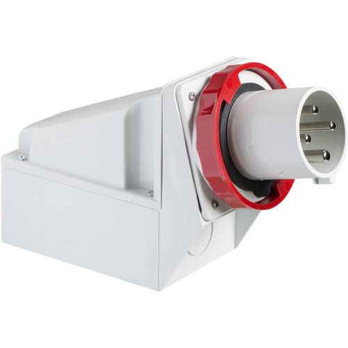 Schneider Electric 81582 81582 CEE Wandstecker 63 A 415 V 1 St.