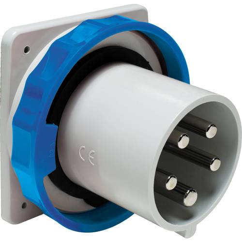 Schneider Electric 81879 81879 CEE Stecker 63 A 250 V 1 St.