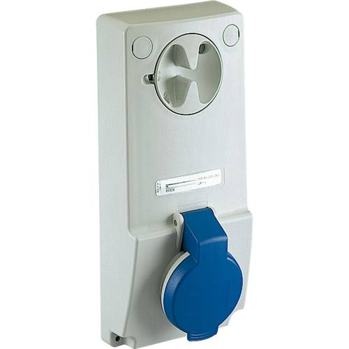 Schneider Electric 82031 82031 CEE Anbaudose 16 A 250 V 1 St.