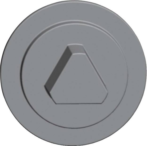 Schneider Electric NSYSFLOCKT8 Verriegelung Polyamid 1 St.