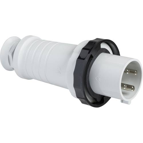 Schneider Electric 81385 81385 CEE Stecker 63 A 500 V 1 St.