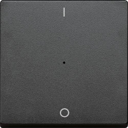 Merten Abdeckung Taster Anthrazit MEG5211-0414 1 St.