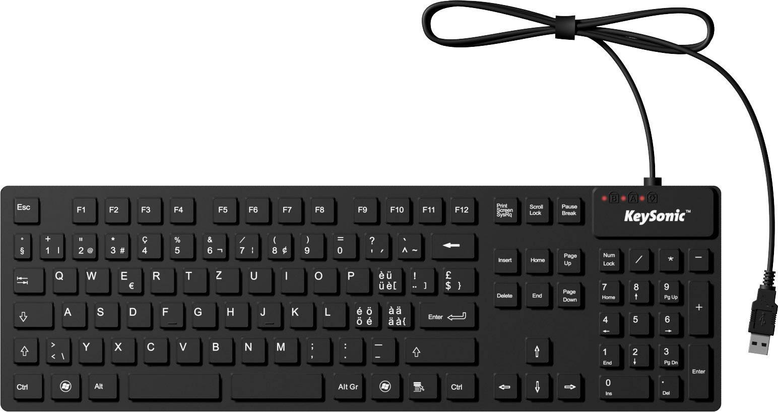 Keysonic KSK-8030 IN (CH) USB Tastatur Schweiz, QWERTZ Schwarz Silikonmembran vollversiegelt IP68, Wasserfest (IPX7)-0