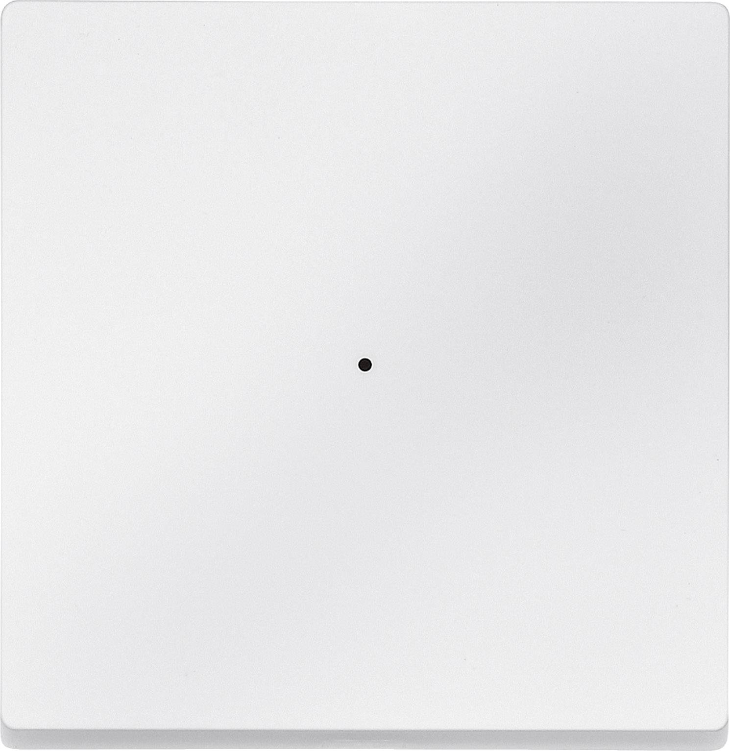 Merten Merten KNX Systeme 625119 Tasterwippe 625119