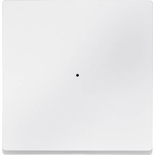Merten Merten KNX Systeme 625119 Tasterwippe 625119