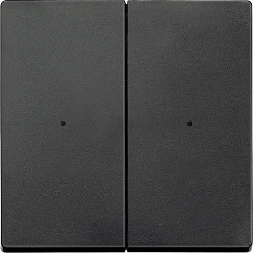 Merten Merten KNX Systeme 625214 Tasterwippe 625214