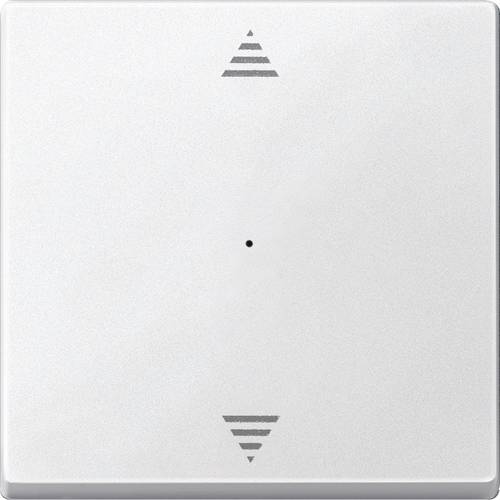 Merten Merten KNX Systeme 625519 Tasterwippe 625519