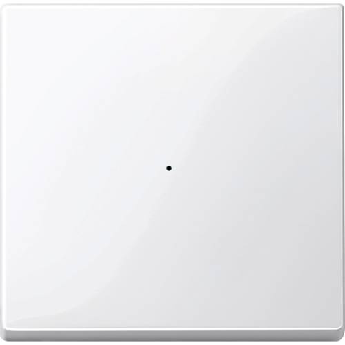 Merten Merten KNX Systeme 619119 Tasterwippe 619119