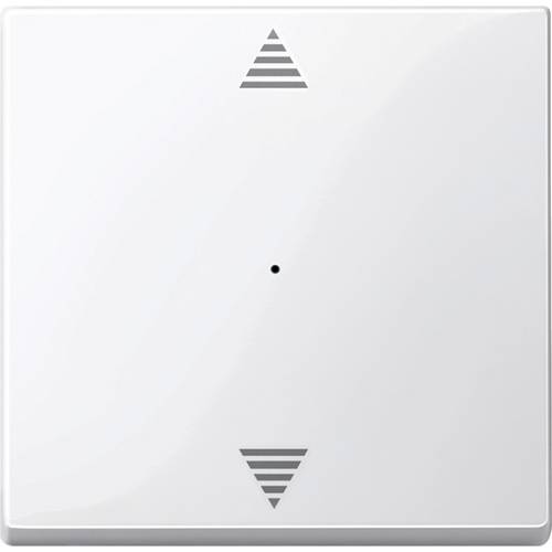 Merten Wippe Polarweiß 619419 1 St.