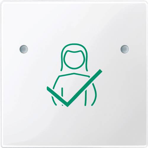 Merten Zubehör System M Polarweiß MEG4841-0319 1 St.