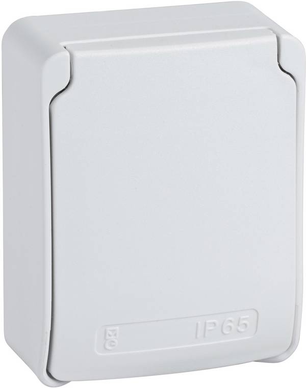 Schneider Electric 81142  Anbau-Steckdose   IP65 Grau (RAL 7035)