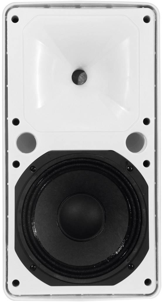 Rechteckiger Lautsprecher mit weißem Gehäuse und schwarzem Subwoofer in der Mitte, umgeben von zwei kleineren Löchern.