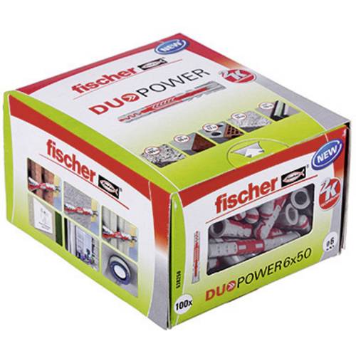 Fischer 538250 DUOPOWER 6x50 LD 2-Komponenten-Dübel 50 mm 6 mm 100 St.