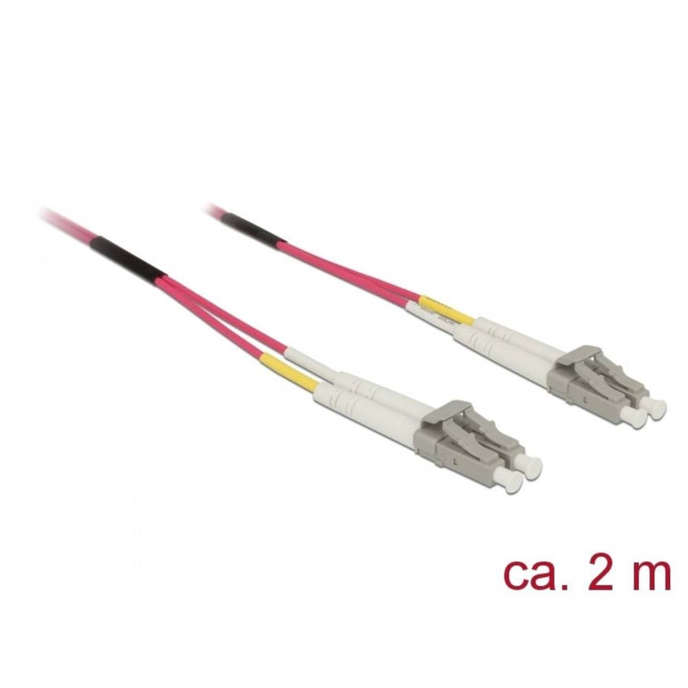 DeLOCK Cable Optical Fiber LC LC, 2m (84641)